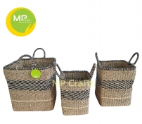 MP-S019