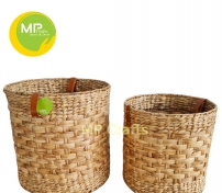 MP-WH024
